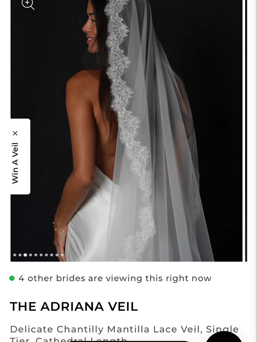 Calily Adriana Chantilly Lace Cathedral Veil in Light Ivory